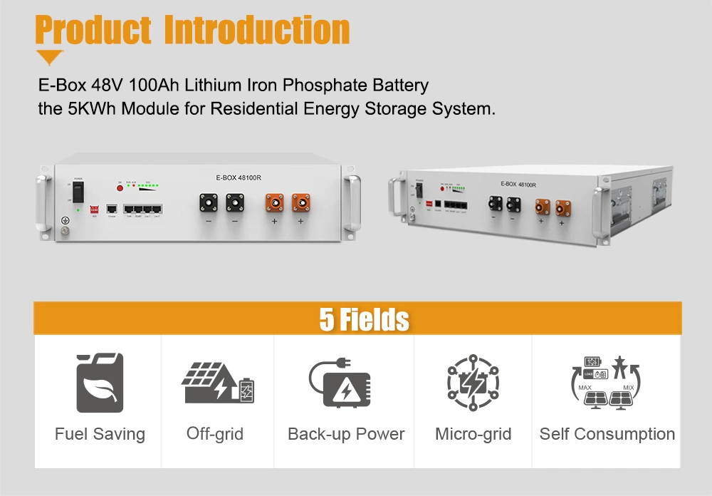 Pytes 48V 100ah Bess Solar Battery for Home Solar Power Energy Storage System Lithium LiFePO4 Battery with BMS